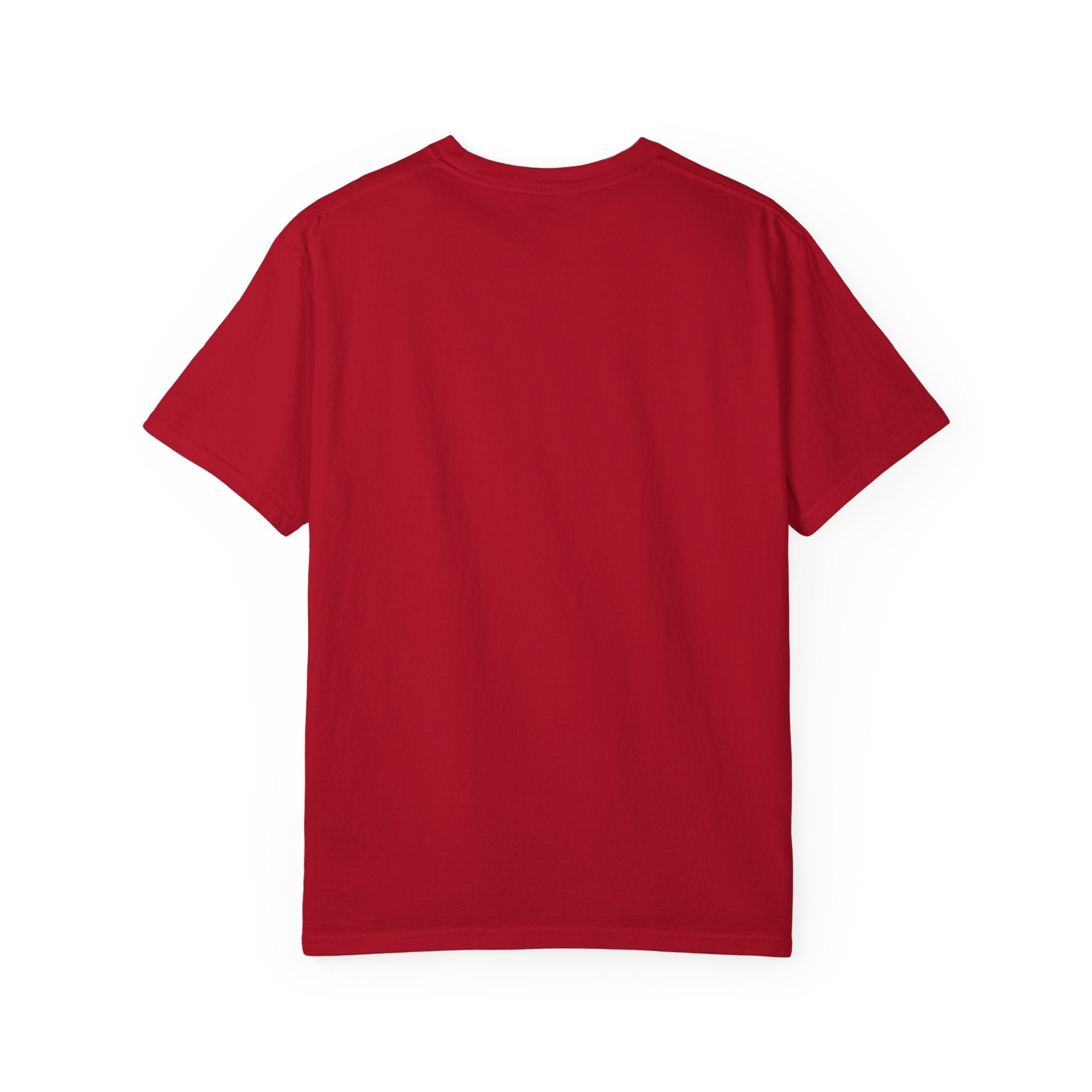 I Know Jiu Jitsu" – Funny Brazilian Jiu Jitsu T-Shirt for Grapplers & Martial Arts Fans